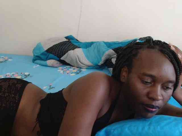 CatsAlley webcam