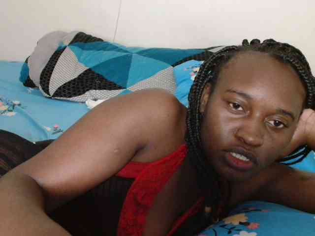 CatsAlley webcam