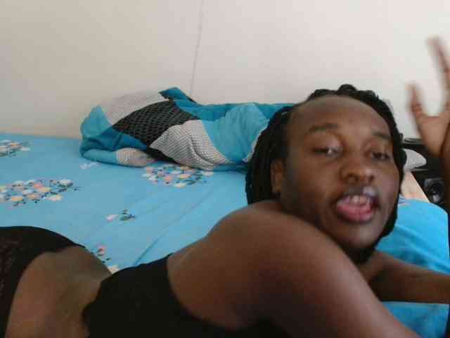 CatsAlley webcam