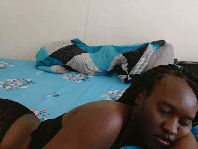 CatsAlley webcam