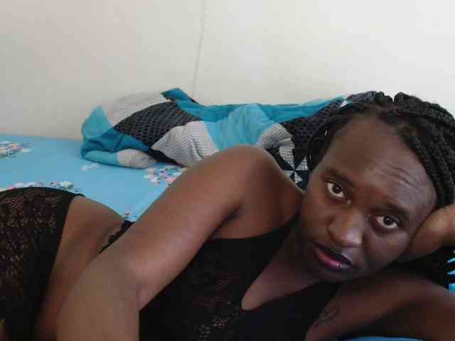 CatsAlley webcam