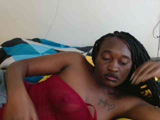 CatsAlley webcam