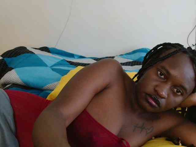 CatsAlley webcam