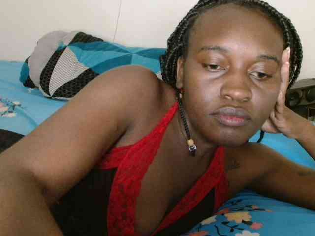 CatsAlley webcam