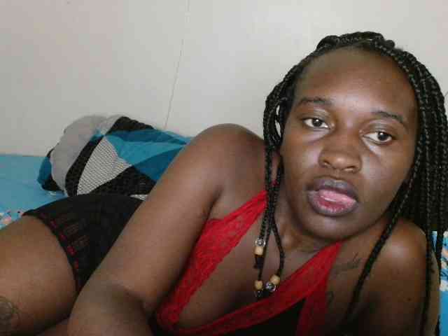 CatsAlley webcam