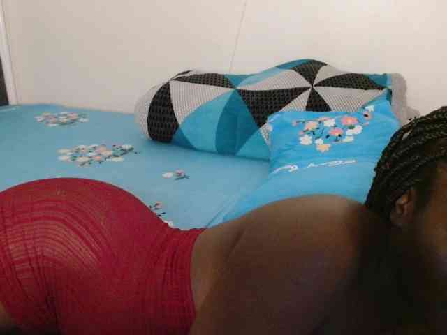 CatsAlley webcam