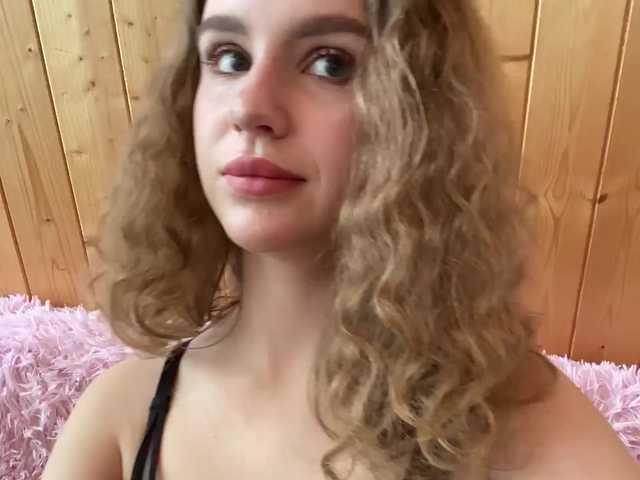 модель Nemesida