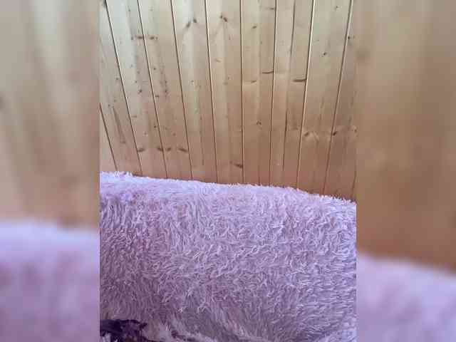 Sweetie_Kitty webcam