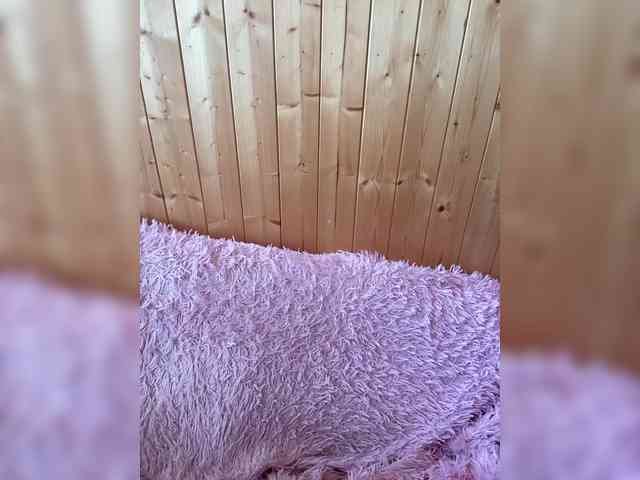 Sweetie_Kitty webcam