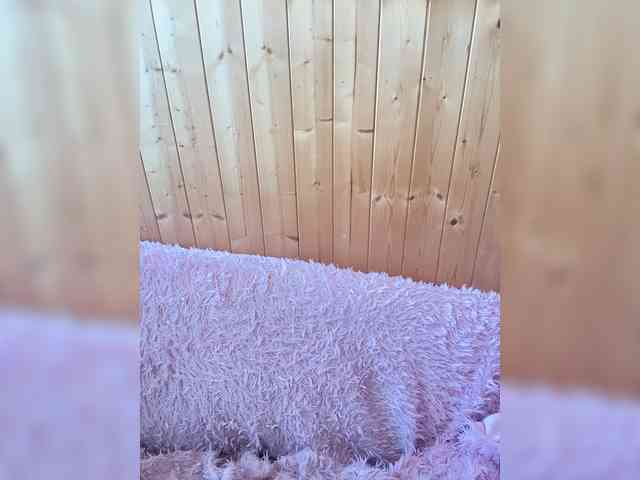 Sweetie_Kitty webcam