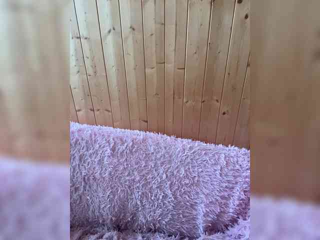 Sweetie_Kitty