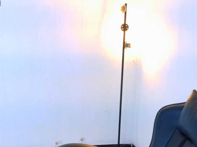 Sarasavaagee