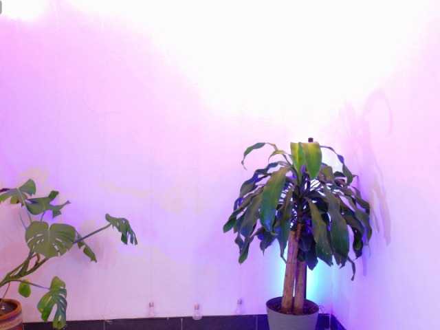 Sarasavaagee live cam on BongaCams
