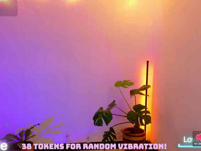 Sarasavaagee webcam