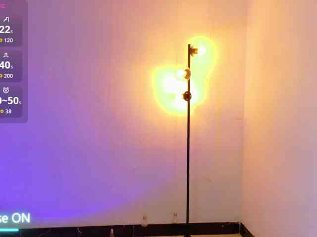 Sarasavaagee webcam