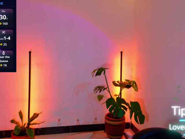Sarasavaagee webcam