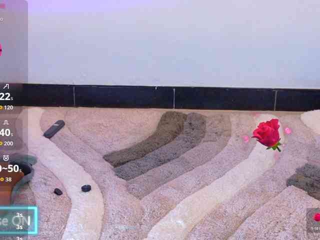 Sarasavaagee webcam