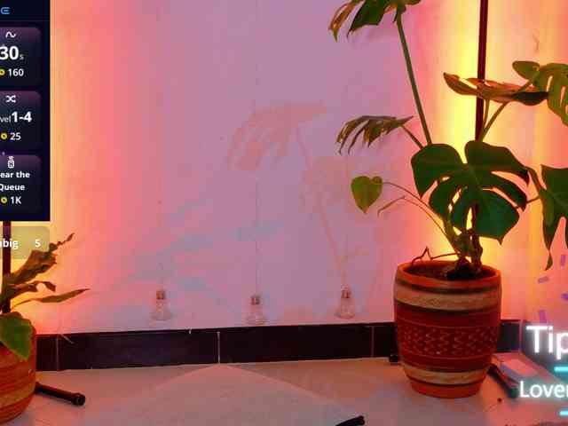 Sarasavaagee webcam
