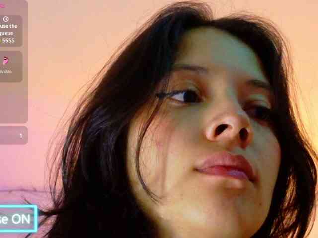 Sarasavaagee webcam