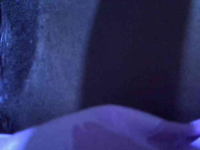 sexyshary webcam