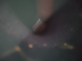 HATPAXAHA Porn Show