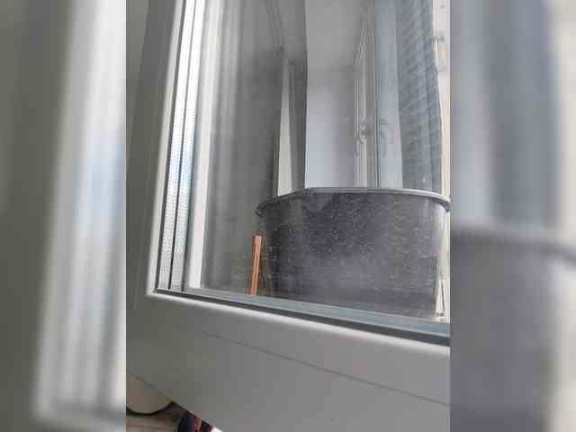 HATPAXAHA webcam