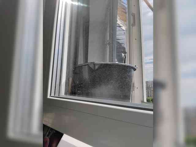 HATPAXAHA webcam