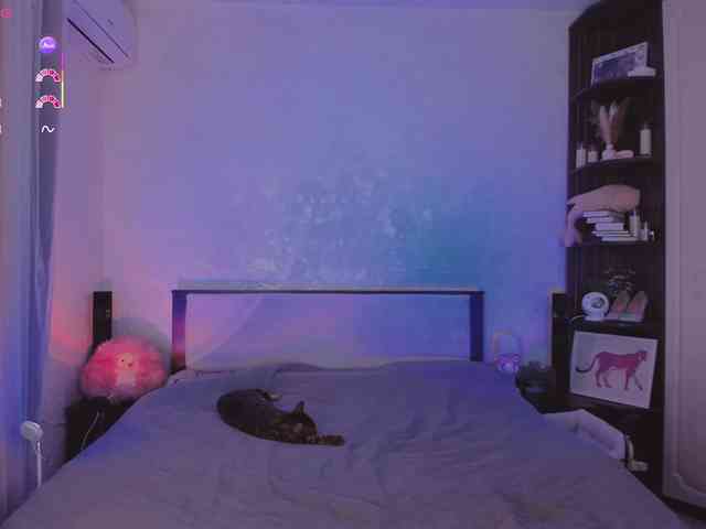 yumdealer webcam