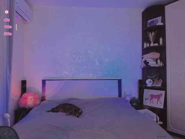 yumdealer webcam