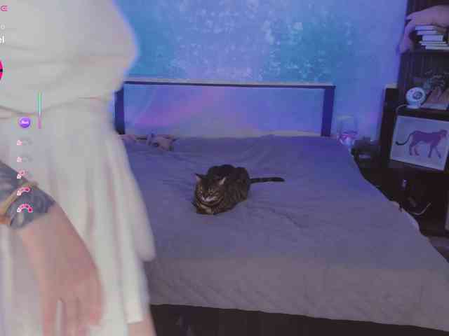 yumdealer webcam