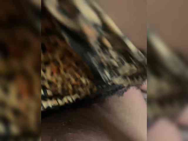 Mari84 Sex Cam Show