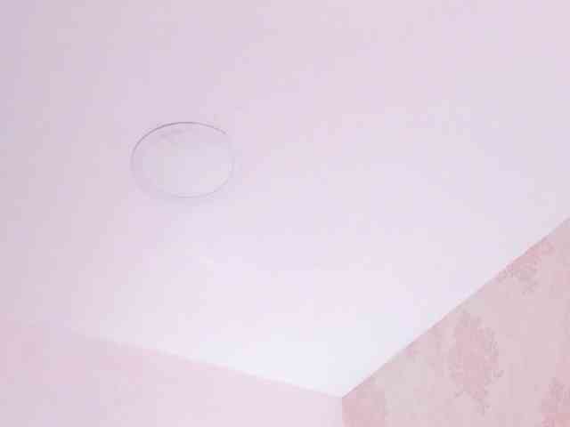 selenecarter webcam