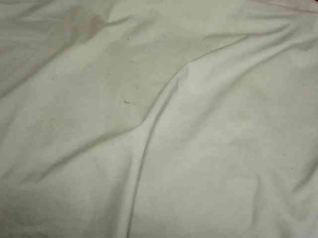 cuteone2 Live Webcam on BongaCams