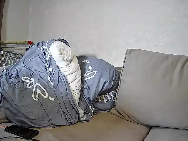 sasyhk01