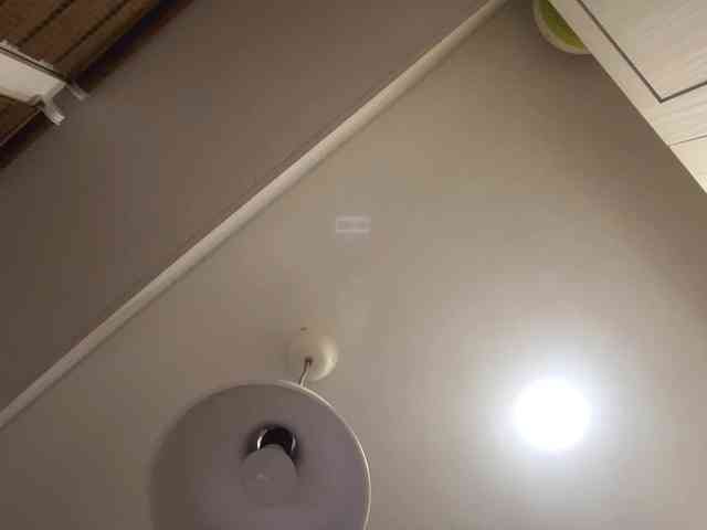 AshantiBadolato webcam
