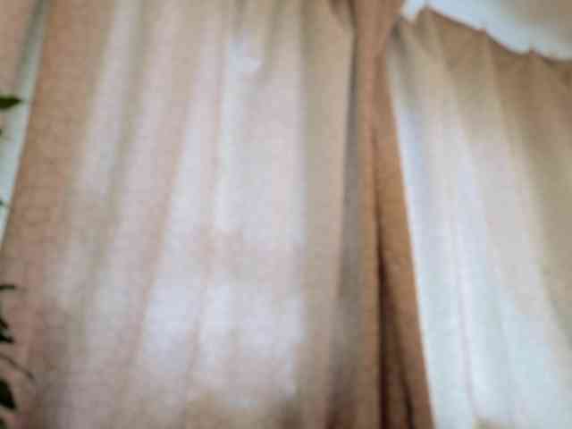 webkisssa webcam