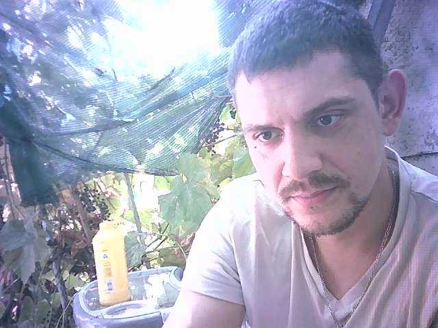 Bogdan-1997