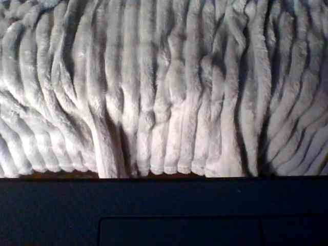 QueenHerson webcam