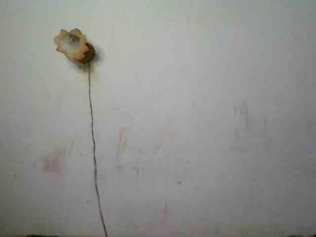 QueenHerson webcam