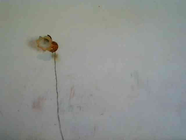 QueenHerson webcam