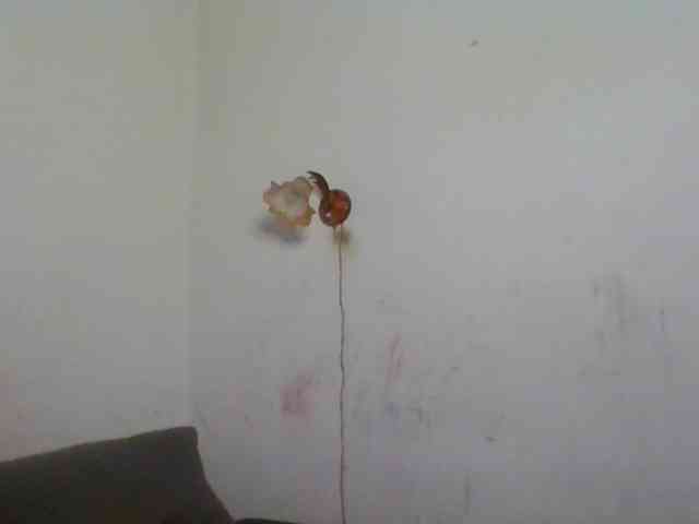 QueenHerson webcam