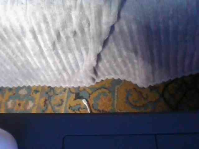 QueenHerson webcam