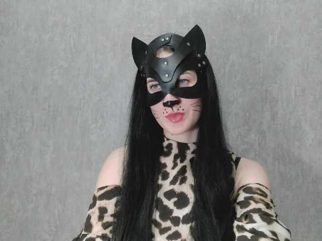 Lady-cat Live Cam and Statistics on UnifiedCams