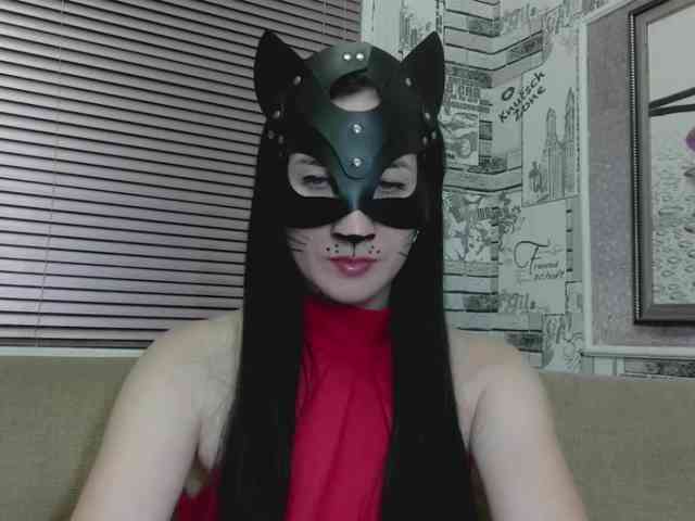 Lady-cat