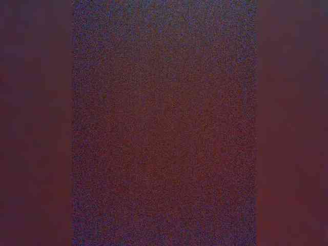 Tyvizex webcam