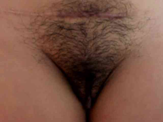 Modelo: Ariel-wish