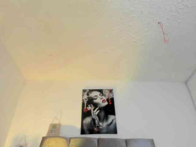 Ariel-wish webcam