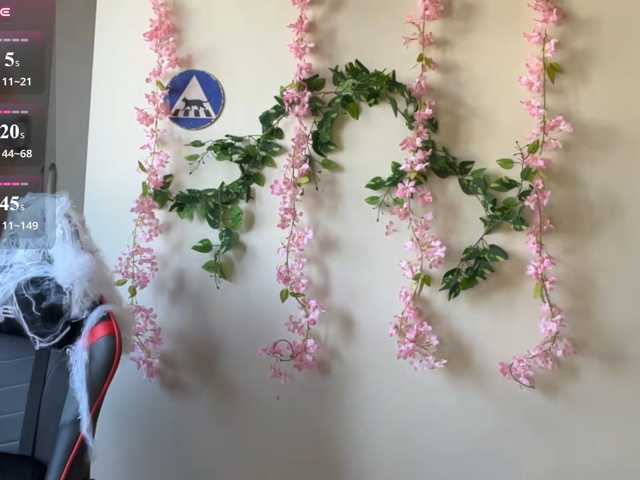 FaithMaffitt live cam on BongaCams