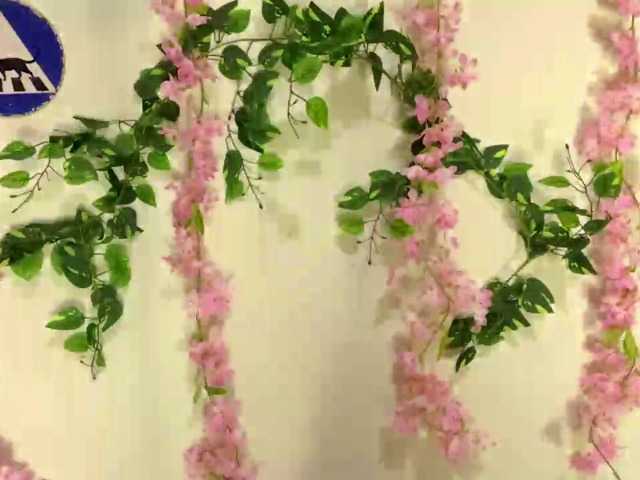 FaithMaffitt live cam on BongaCams