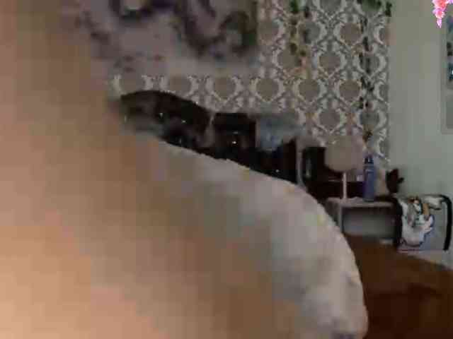 FaithMaffitt cam